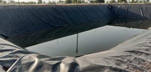 Picture of hdpe pond liner
