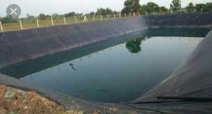 Images showing What Does a Pond Liner Cost?