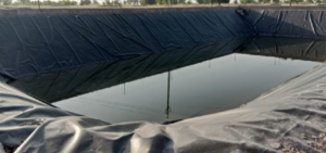 Photo containing Best Pond Liner