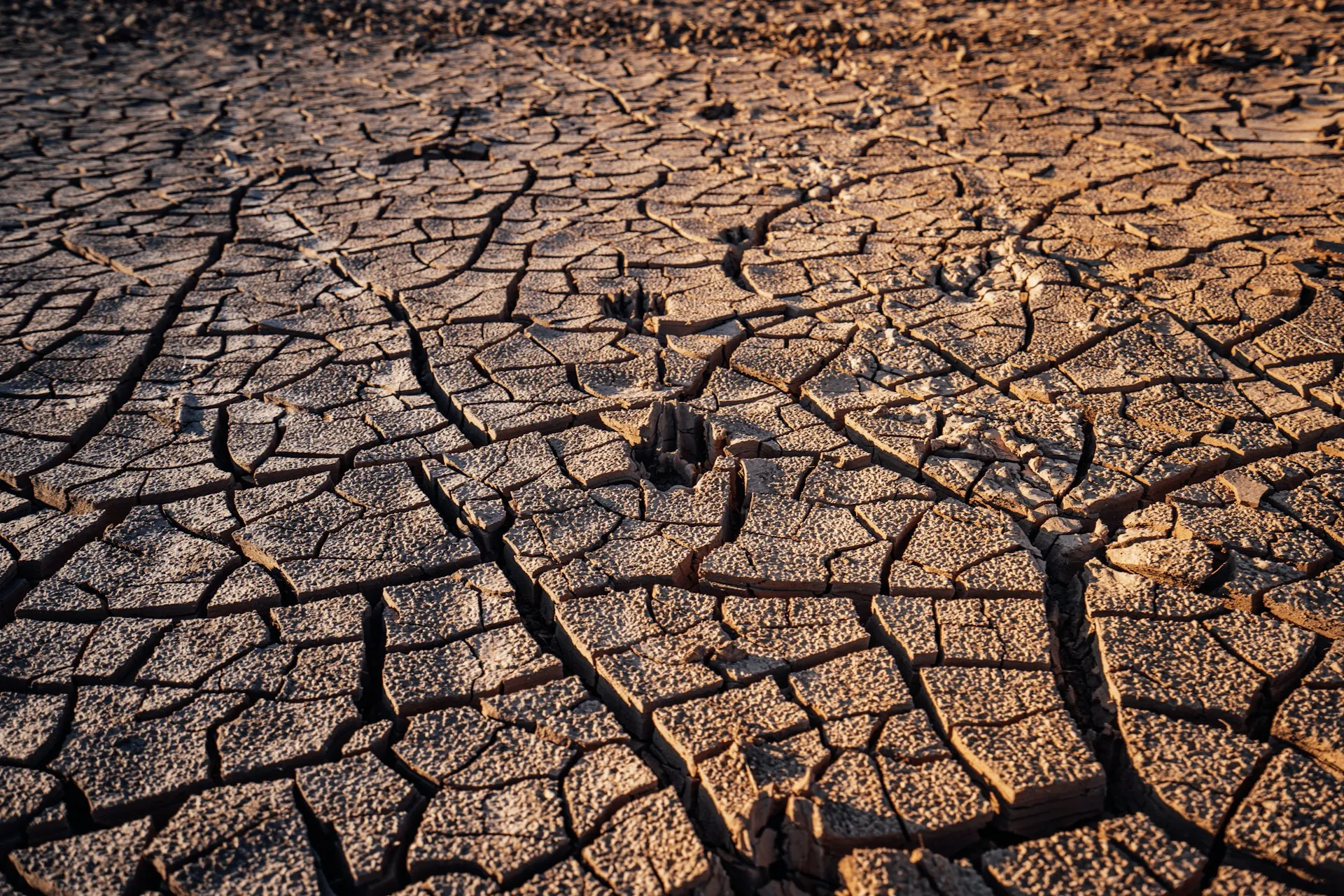 Erosion Control