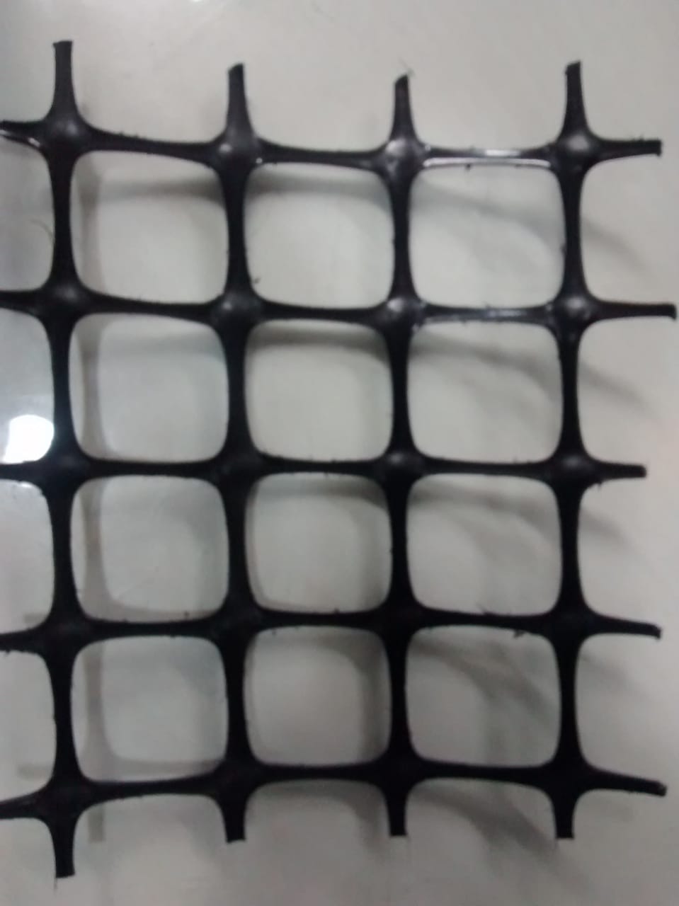 Biaxial Geogrid