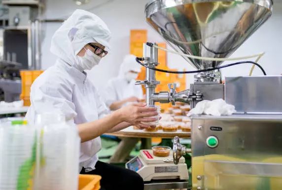 Case Study: Enhancing Durability and Efficiency in a Food Plant Project with Ocean Non Woven Geotextile